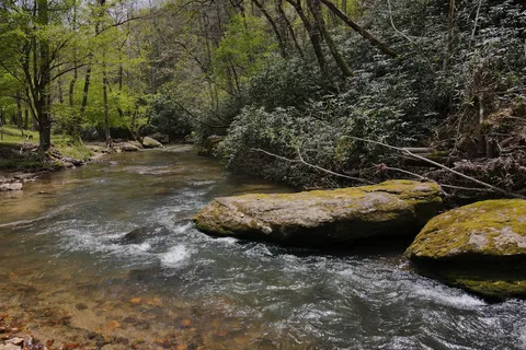 Stoney Fork Campground and B and B