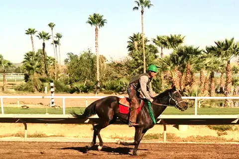 Turf Paradise Trailer Park
