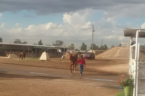 Turf Paradise Trailer Park