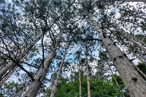 Sharp Park Campground