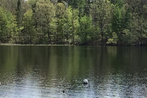 Sharp Park Campground