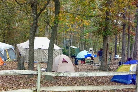 Camp OutBack