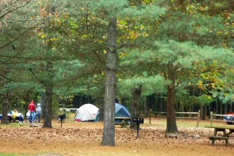 Camp OutBack