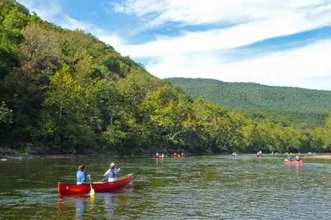 Camp OutBack