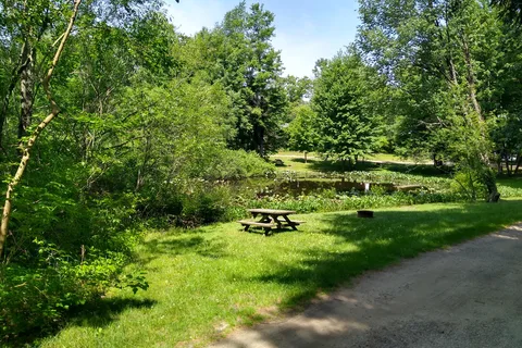 Cranberry Lake Campgrounds
