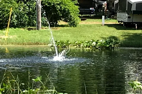 Cranberry Lake Campgrounds