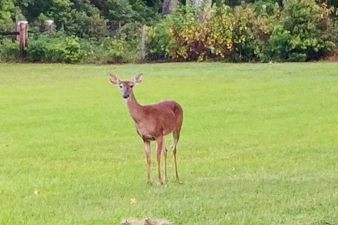 Travelers Rest RV Resort and Golf Course