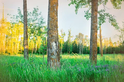 Half Moon Lake Resort And Dude Ranch
