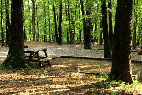 Tall Pines Campground