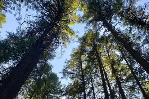 Trinity Lake KOA Holiday