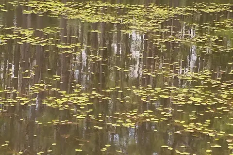Sun Roamers RV Resort