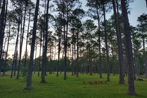 Sun Roamers RV Resort