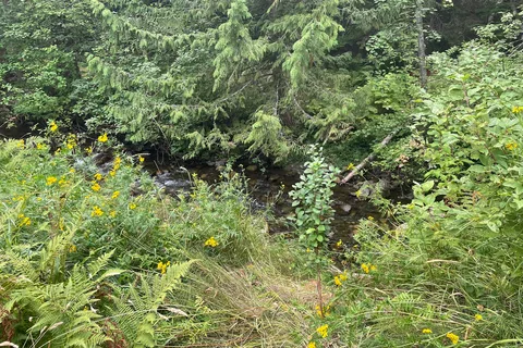 Cool Waters RV Park