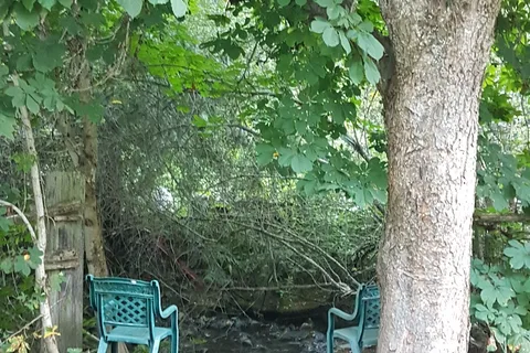 Cool Waters RV Park