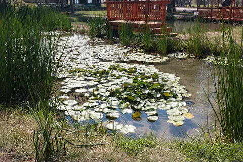 Indian Springs Resort and RV