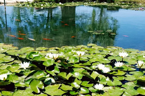 Indian Springs Resort and RV