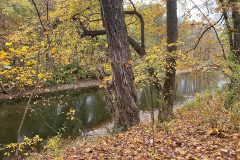 Driftstone on the Delaware