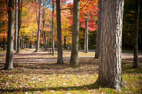 Saginaw Bay Resort - Outdoor Adventures
