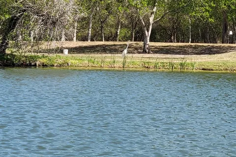 Wilderness Lakes RV Resort