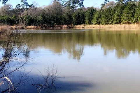 Timber Ridge RV Village