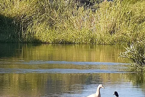 Rivers Edge RV Resort