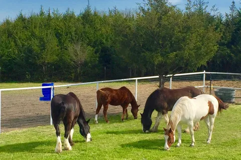 Lakeland RV Ranch