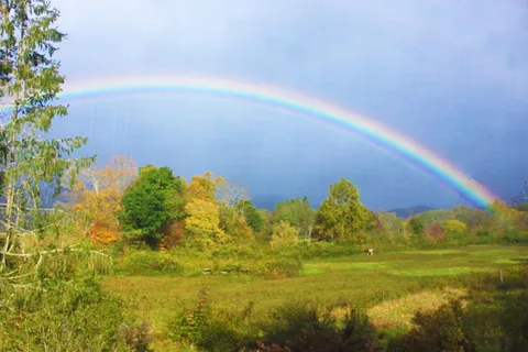 Pegasus Farm Campground