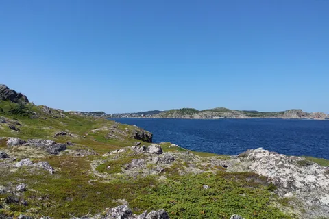 Maladay Head Campground - Terra Nova National Park