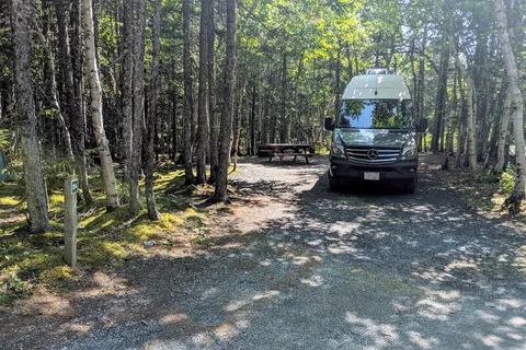 Maladay Head Campground - Terra Nova National Park