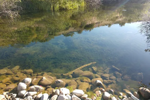 Middlefork RV Resort