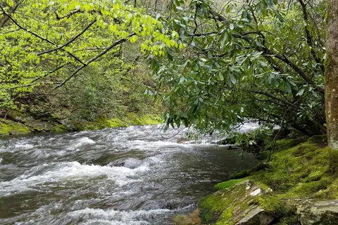 Cataloochee Campground - Great Smoky Mountains National Park