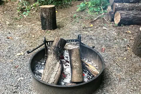 Cataloochee Campground - Great Smoky Mountains National Park
