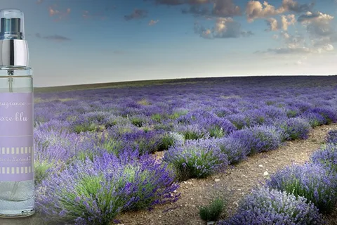 Lavender RV Park and Plantation.