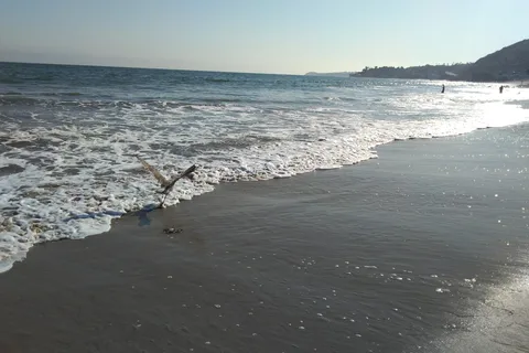 Malibu Beach RV Park