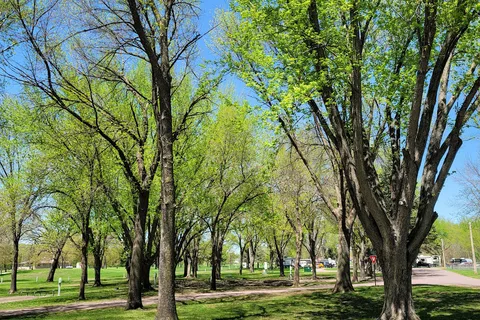 Watona Park Campground and Park
