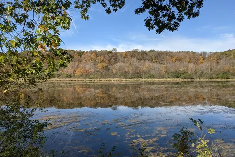 Savanna - William O Brien State Park