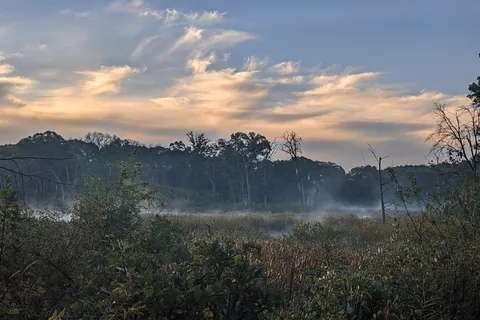 Savanna - William O Brien State Park