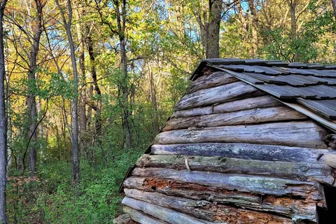 Savanna - William O Brien State Park