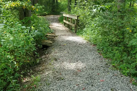 New River State Park