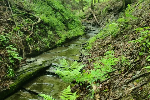 Keuka Lake State Park