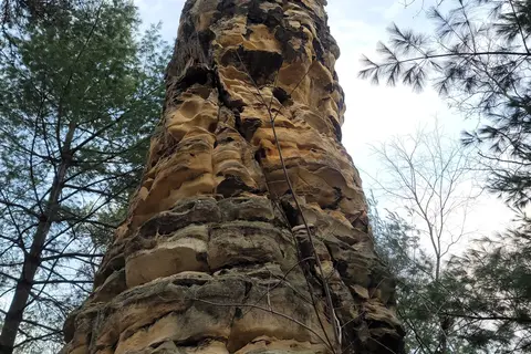 Mill Bluff State Park