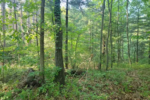 Mill Bluff State Park
