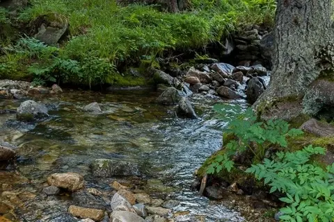 Nantahala RV Resort & Campground