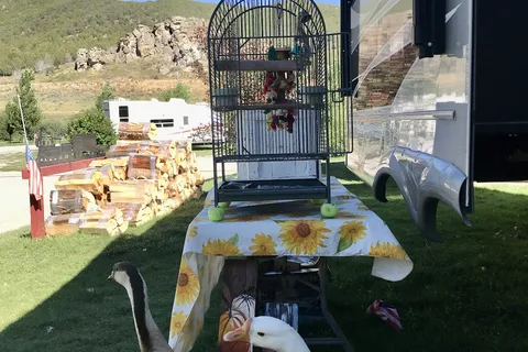 Portneuf Bend Campground