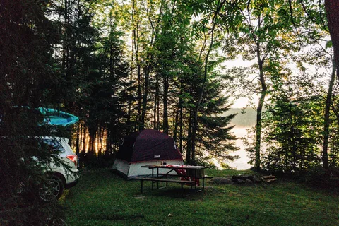 Lax Lake Resort