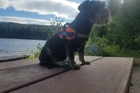 Conkle Lake Provincial Park