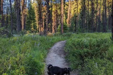 Conkle Lake Provincial Park