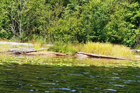 Conkle Lake Provincial Park