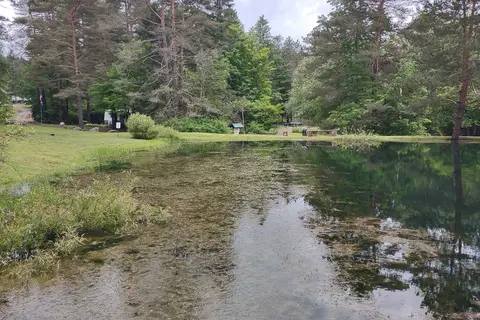 Camp Emerald Acres