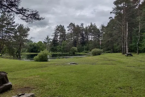 Camp Emerald Acres